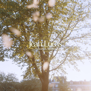 Echoes in Motion by Jean Lucas