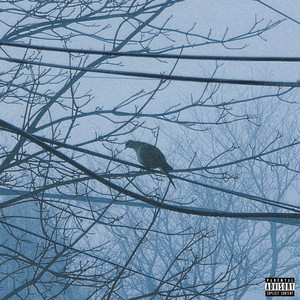 RENEGADE by Bearded Legend