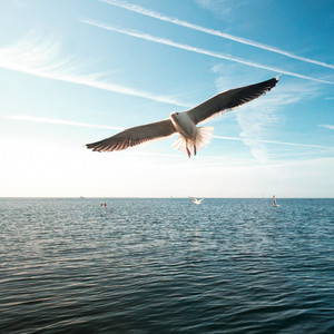 Glide by Are Morica
