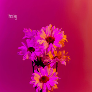 Neon Daisy by weightless minutes