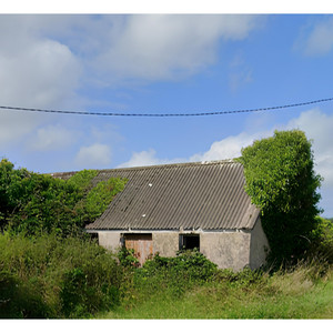 Abandoned House