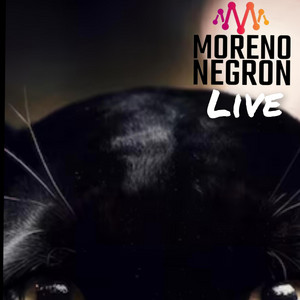 Popurrí de éxitos (Radio Edit)