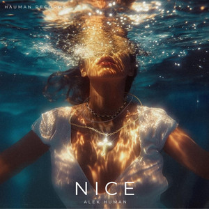 NICE by Alek Human