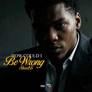 How Could I Be Wrong by SheedTs