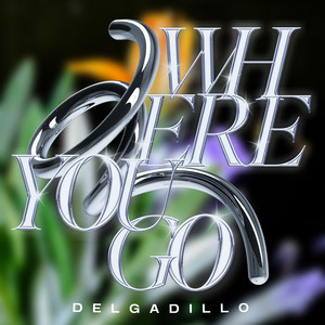 Where You Go - Radio Edit by Delgadillo