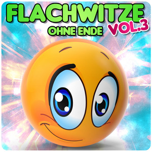 Flachwitze ohne Ende, Vol. 3 Audiobook