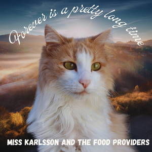 Forever is a pretty long time by Miss Karlsson and the Food Providers