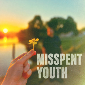 Misspent Youth by The Nap Cats