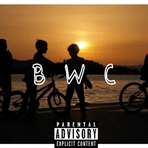 B . W . C by Wayne webster, NESDA