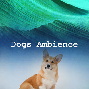 Dogs Ambience