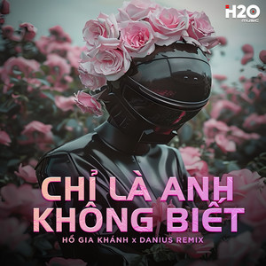 Chỉ Là Anh Không Biết (Danius Remix)