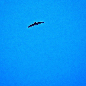 The Crappy Emo Experience - You're Beautiful