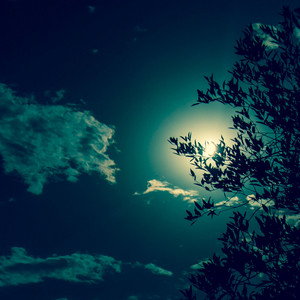 The Night is Unseen (Nocturne Improvisation) by Dariusz Hasiak, Darius H