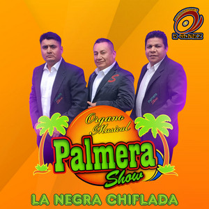 Organo Musical Palmera Show - Palito de Marañón