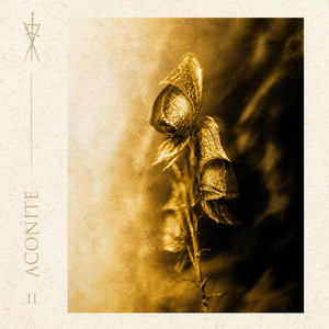 Hollow Dancing by Aconite