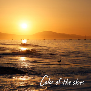 Color Of The Skies by The Back Nine