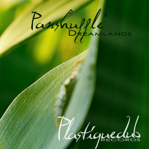 Panshufflè cover