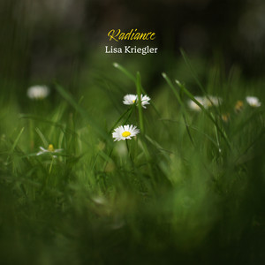 What I Was Then What I Am Now by Lisa Kriegler