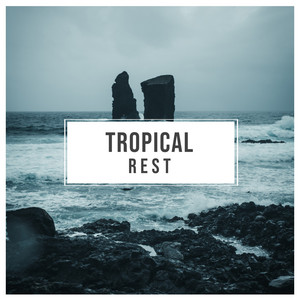 # 1 Album: Tropical Rest album