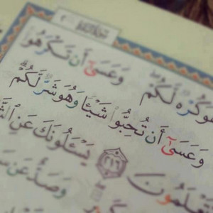 أنوار القرآن - وعسى أن تكرهوا شيئًا وهو خيرٌ لكم