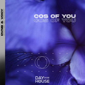 Cos Of You by DVNB, Vocy