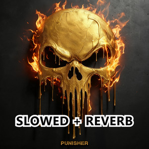 Punisher - Slowed + Reverb by The Hyphenate, Judo Keys
