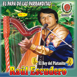 raul escudero - Traición de Tu Amor / Herido Corazón