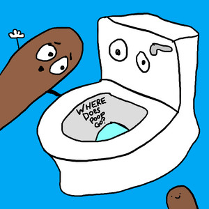The Poopies