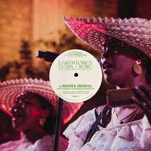 Mi Swing Es Tropical - song and lyrics by Nickodemus, Quantic