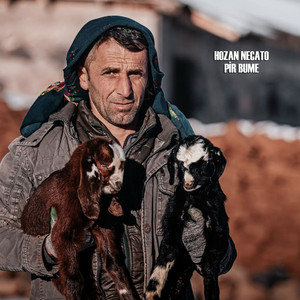 Hozan Necato - Perişanamın