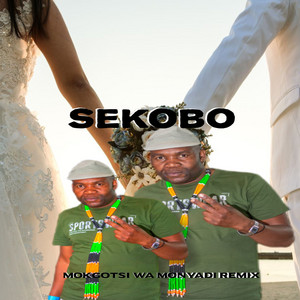 Mokgotsi Wa Monyadi - Remix