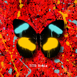 Overpass Graffiti - TCTS Remix by Ed Sheeran, TCTS