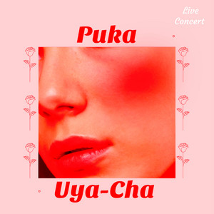 Hzq'un Artists Group - Puka Uya-Cha (Live Concert) [feat. Naranjita de Sucre & Los Tigres de la Jarana]