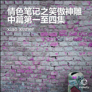 情色笔记之笑傲神雕中篇第三集- song and lyrics by xiao xianer | Spotify