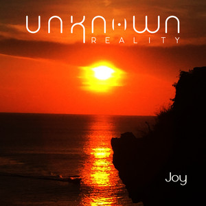 Joy by Unknown Reality