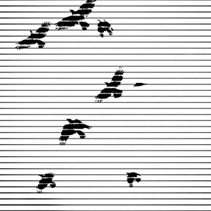 Круки