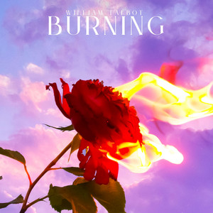Burning by William Talbot