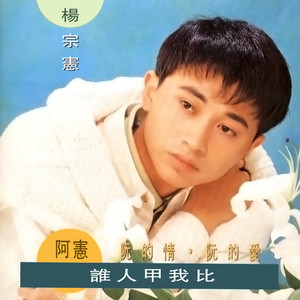 楊宗憲 - 天涯總有相會時