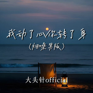 我动了心你转了身(烟嗓男版)