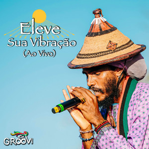 Eleve Sua Vibração (Ao Vivo) by GrooVI, Amani Kush