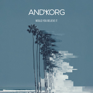 Would You Believe It by Andy Korg