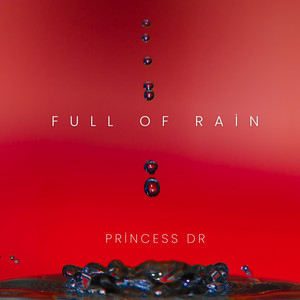 Full of Rain by princess dr