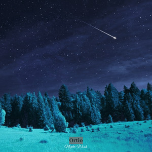 Night Wish by Ortio