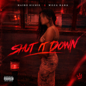 Shut It Down by Haibo Richie, Woza Baba
