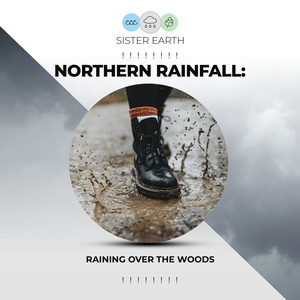 ! ! ! ! ! ! ! ! Northern Rainfall: Raining Over the Woods ! ! ! ! ! ! ! ! album