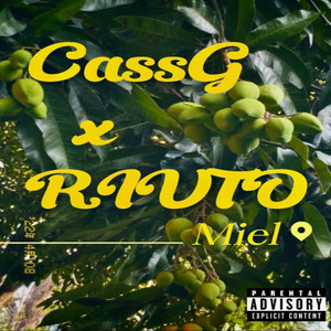 Miel by RIVTO, CASS G