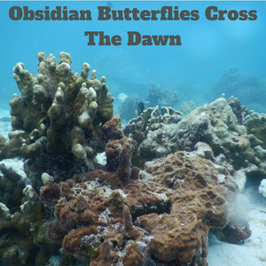 Obsidian Butterflies Cross The Dawn by Remy Cortes