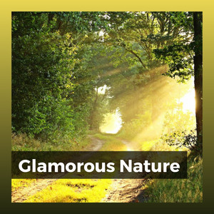 Glamorous Nature album