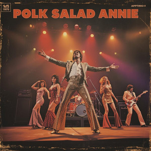 Polk Salad Annie - Single by Elvis Presley Experience | Spotify