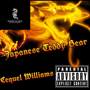 Japanese Teddy Bear
